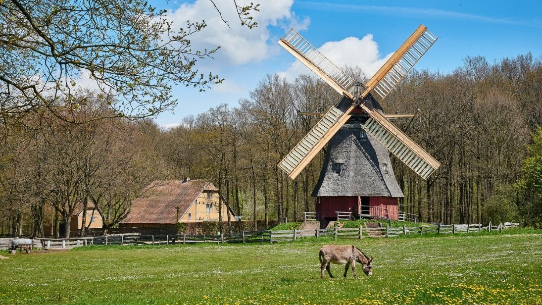 In einem Freilichtmuseum können Groß und Klein erleben, wie in früheren Zeiten gelebt wurde. © Hans-Theo Gerhards/LVR-Freilichtmuseum Kommern